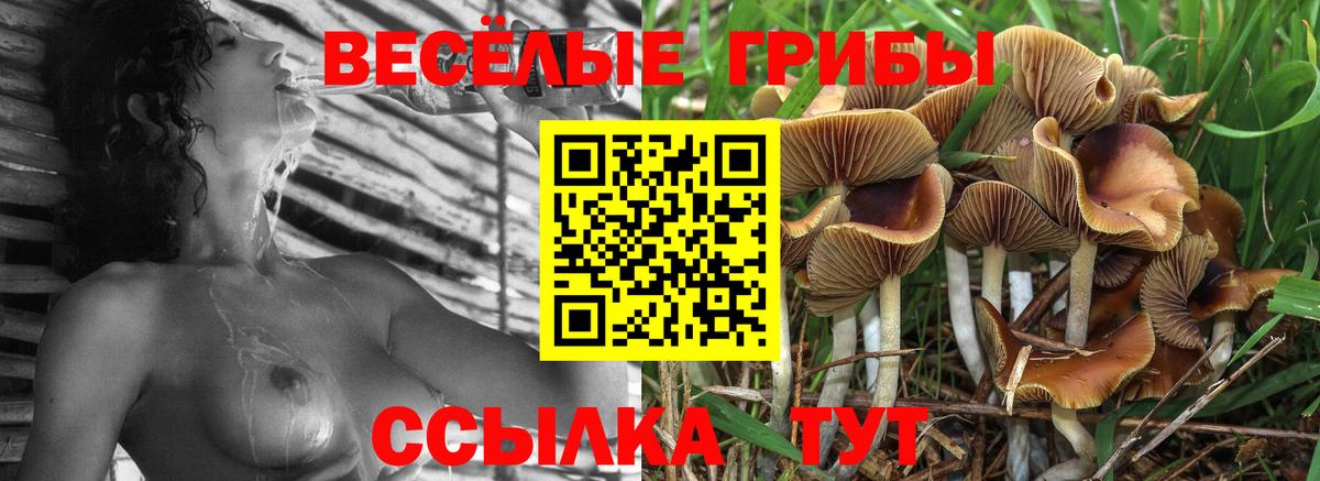 Галлюциногенные грибы Magic Shrooms  Псилоцибиновые грибы ЛСД  Вход с VPN  Котлас 